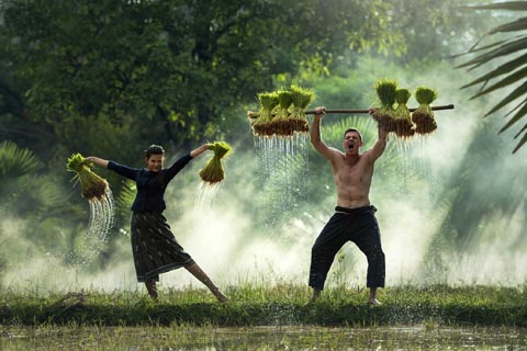 68画「堅実運」の図象