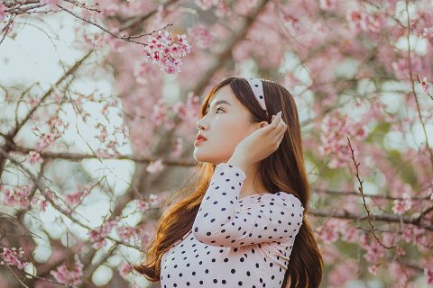 一週間の運勢順位 第 7 - 8 位